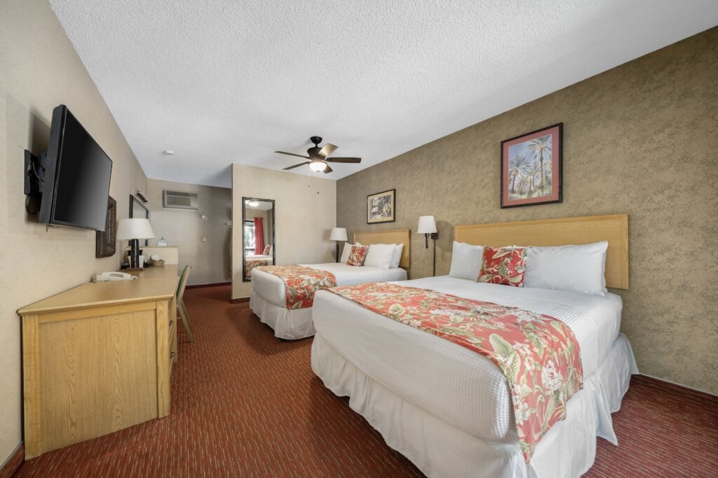 Caliente Tropics - Image 5