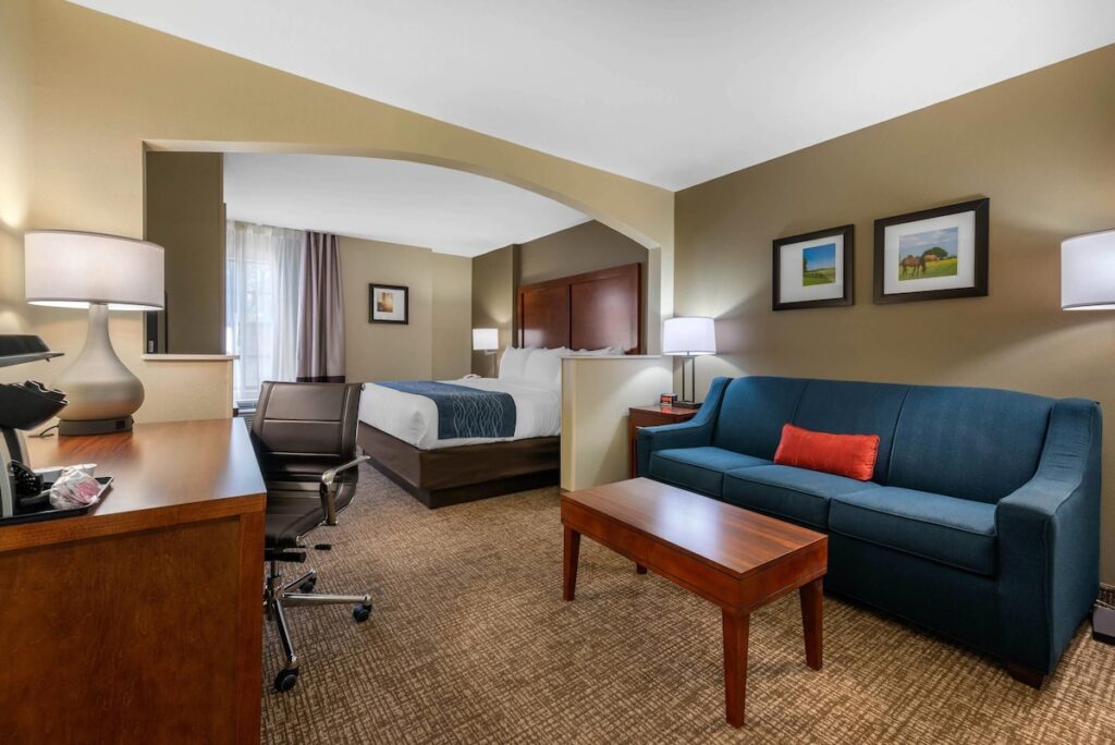 Comfort Inn Ocala Silver Springs - Image 5