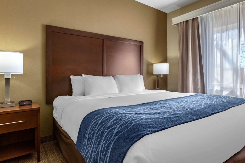 Comfort Inn & Suites Alameda at Albuquerque Balloon Fiesta Park - Image 2