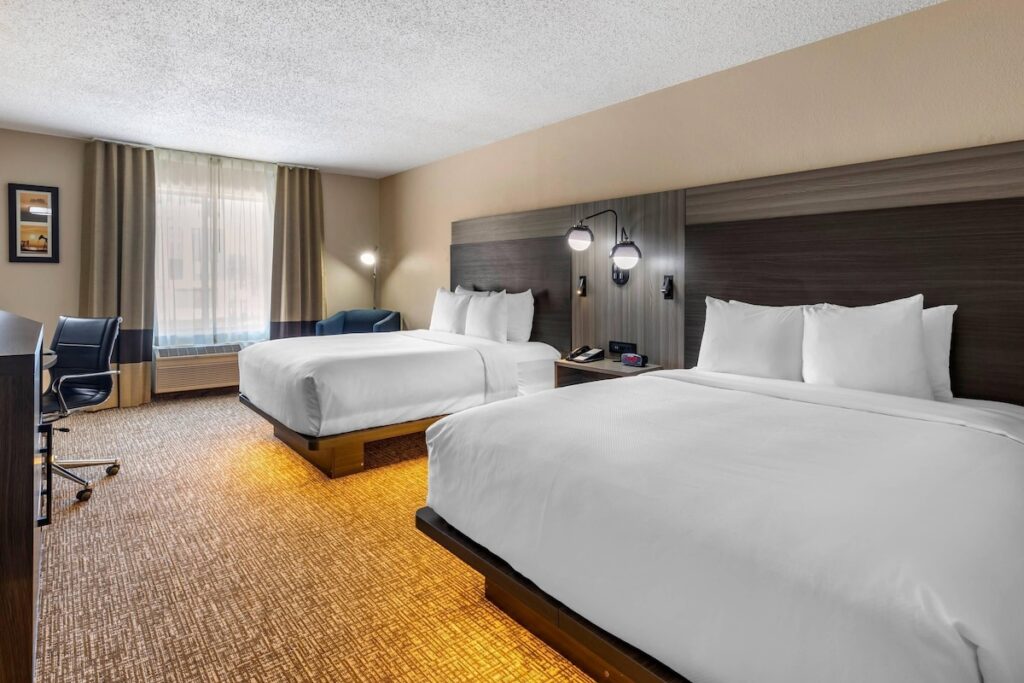 Comfort Inn & Suites North Dallas-Addison - Image 3