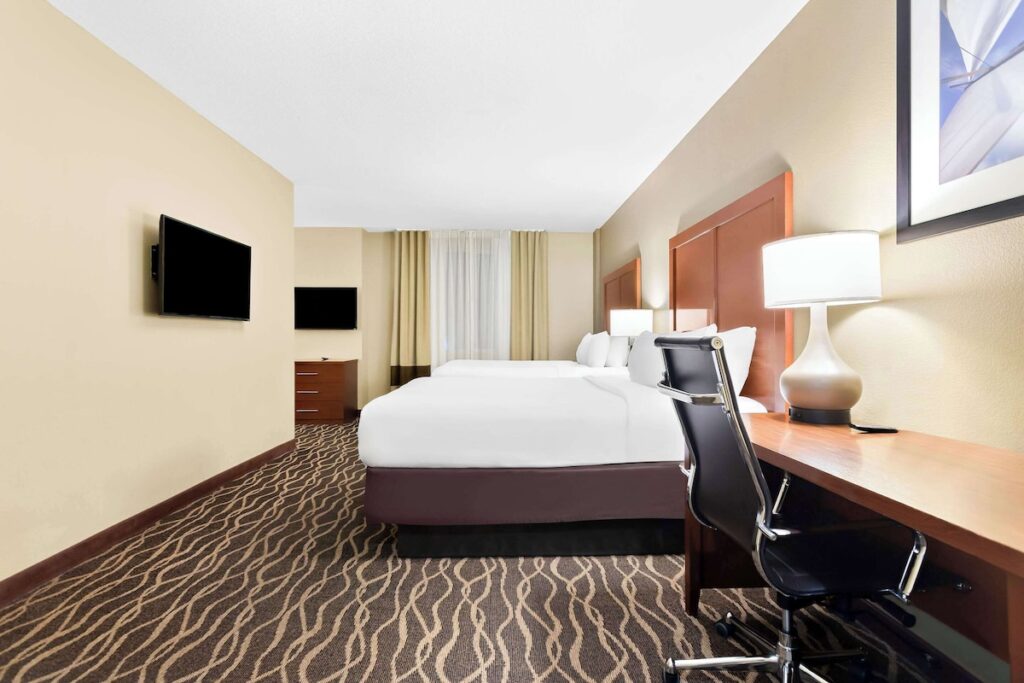 Comfort Suites Tampa Airport North - Image 4