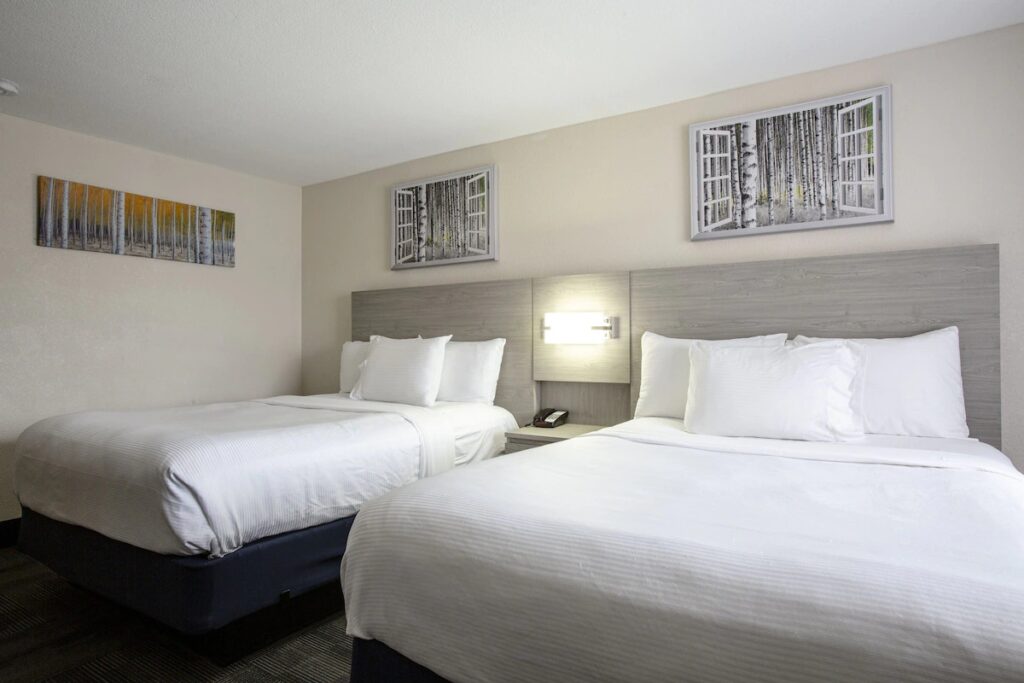 Hotel Aspen Flagstaff/ Grand Canyon InnSuites - Image 3