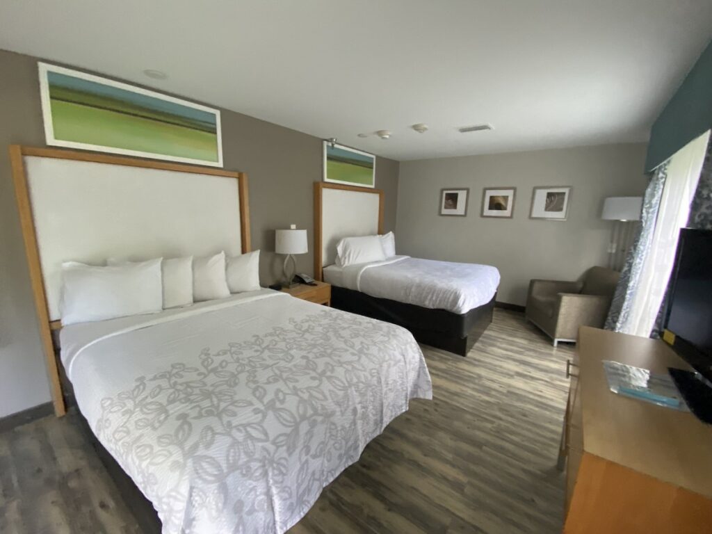 Red Roof Inn PLUS & Suites Tampa - Image 5