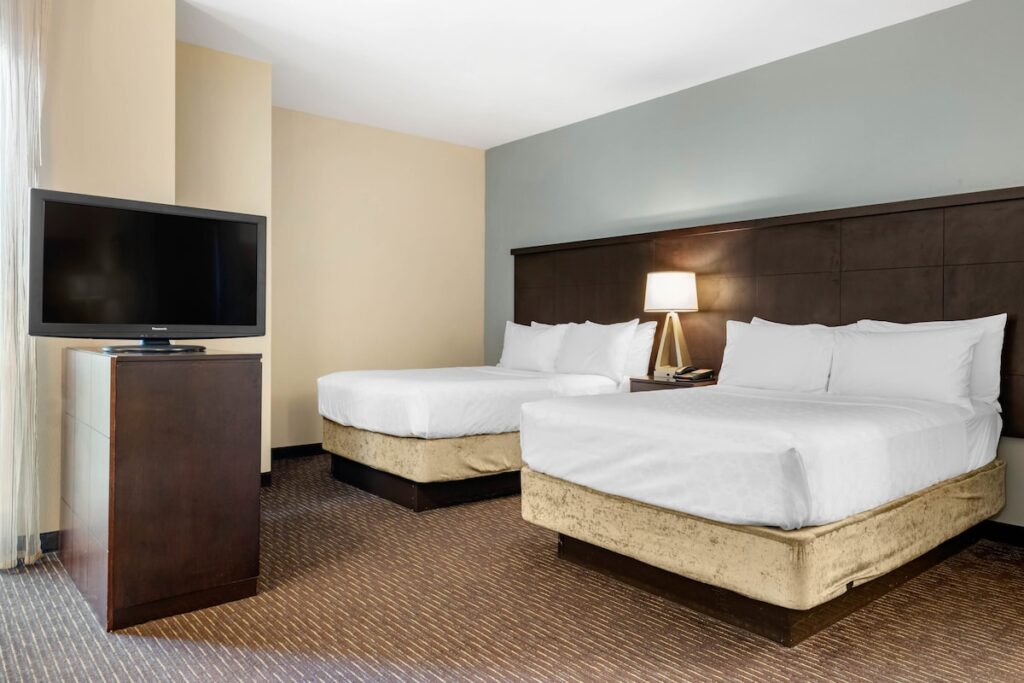 Staybridge Suites St. Petersburg FL by IHG - Image 5