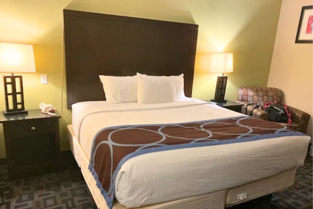 Super 8 by Wyndham Irving/DFW Apt/North - Image 2