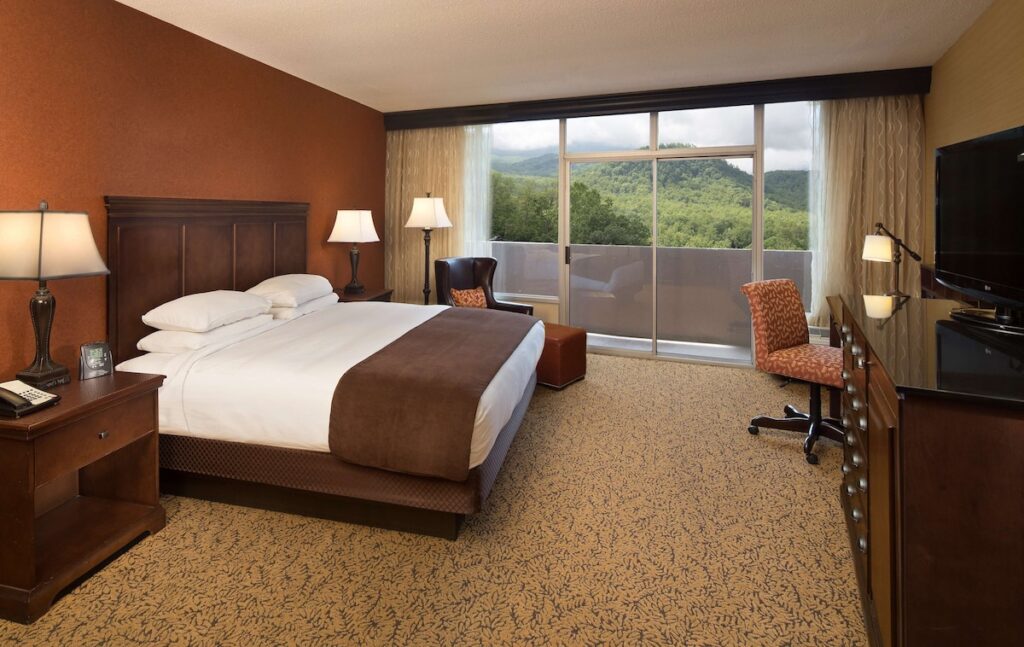The Park Vista - A DoubleTree by Hilton Hotel - Gatlinburg - Image 3