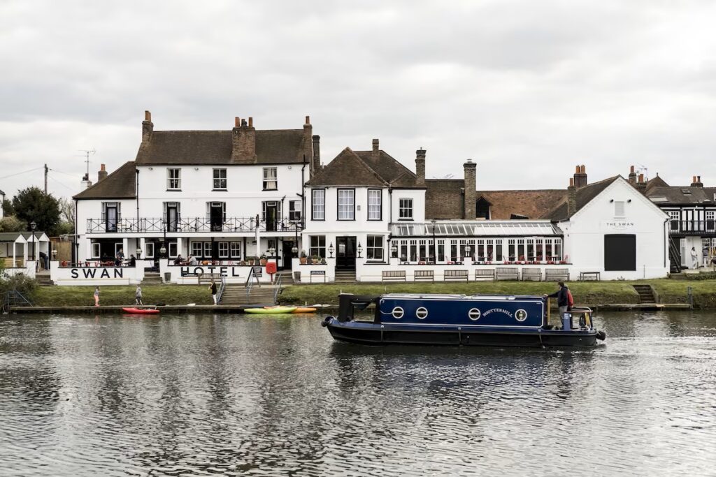The Swan