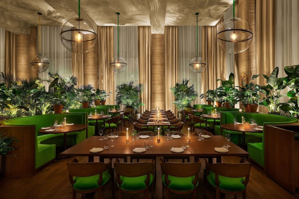 The Tampa EDITION - Image 4