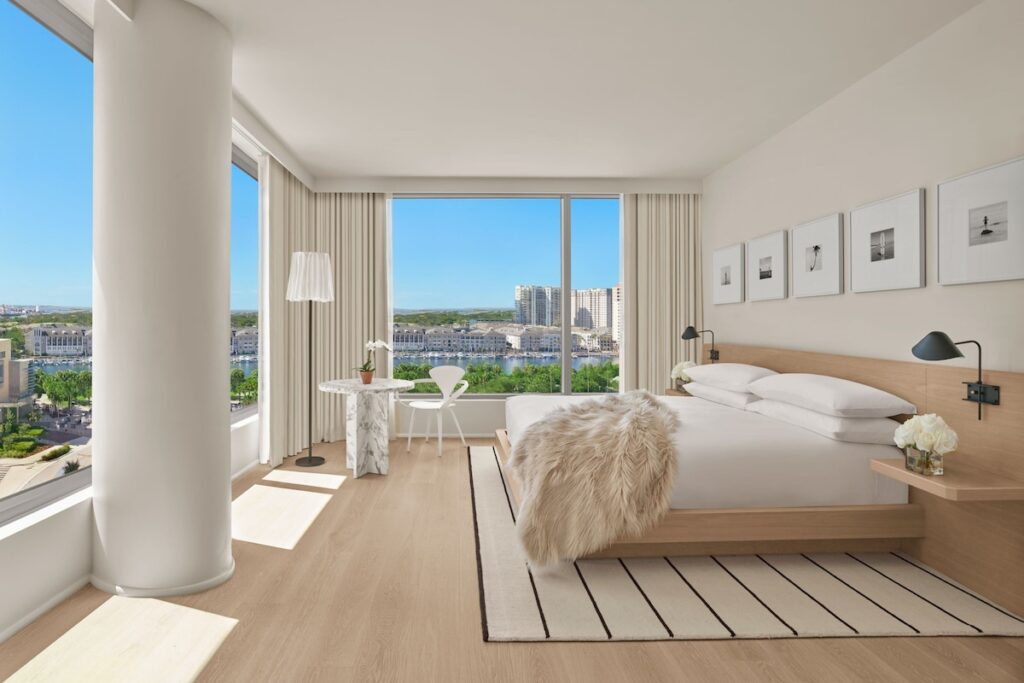 The Tampa EDITION - Image 6