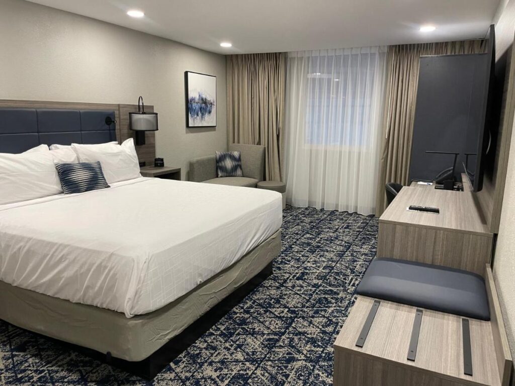 Wyndham DFW Airport - Image 4