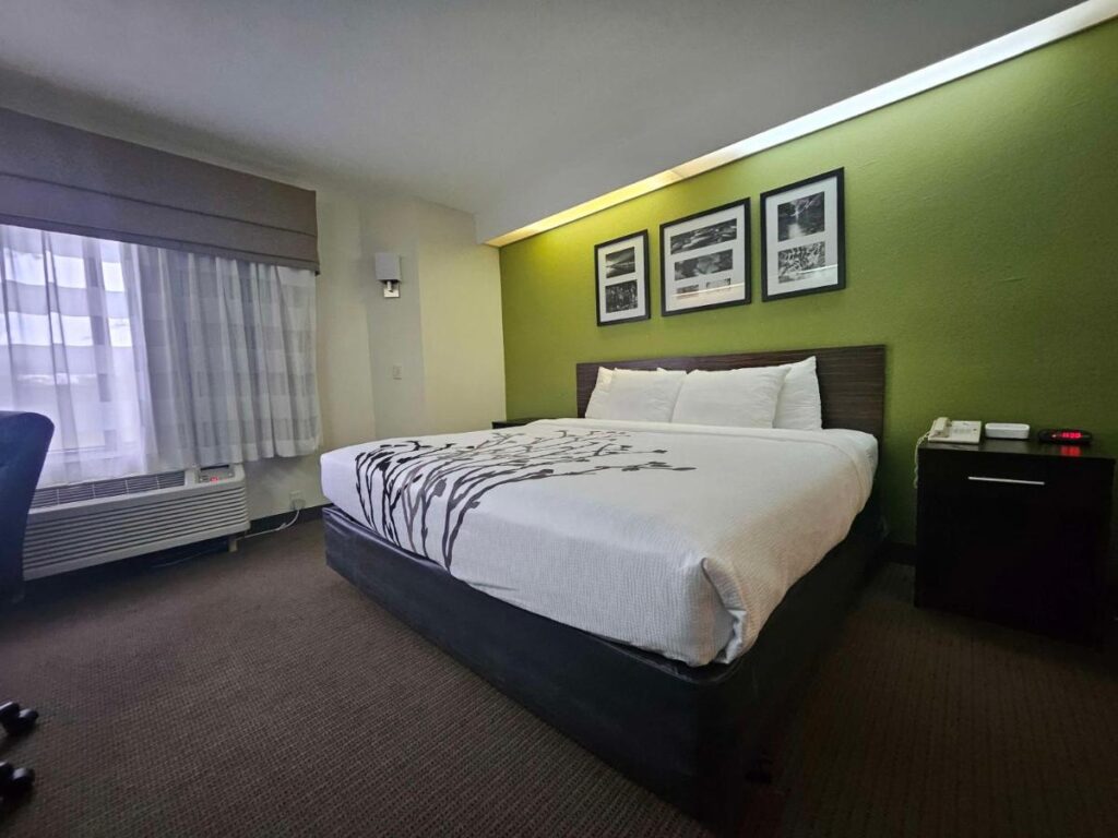 SureStay by Best Western Summerville Flowertown - Image 4