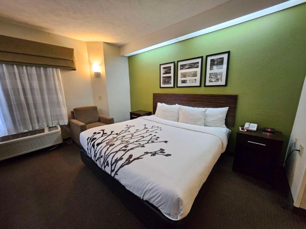 SureStay by Best Western Summerville Flowertown - Image 5