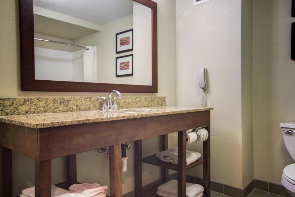 Comfort Inn Blythewood - North Columbia - Image 3