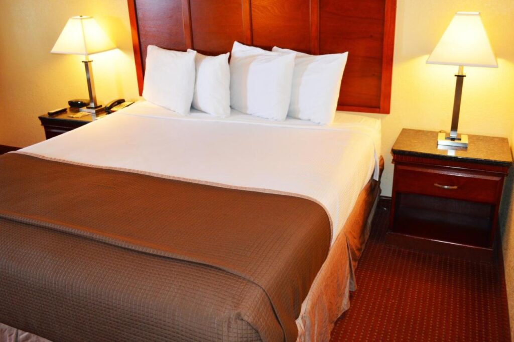 Rodeway Inn South San Francisco Airport - Image 4