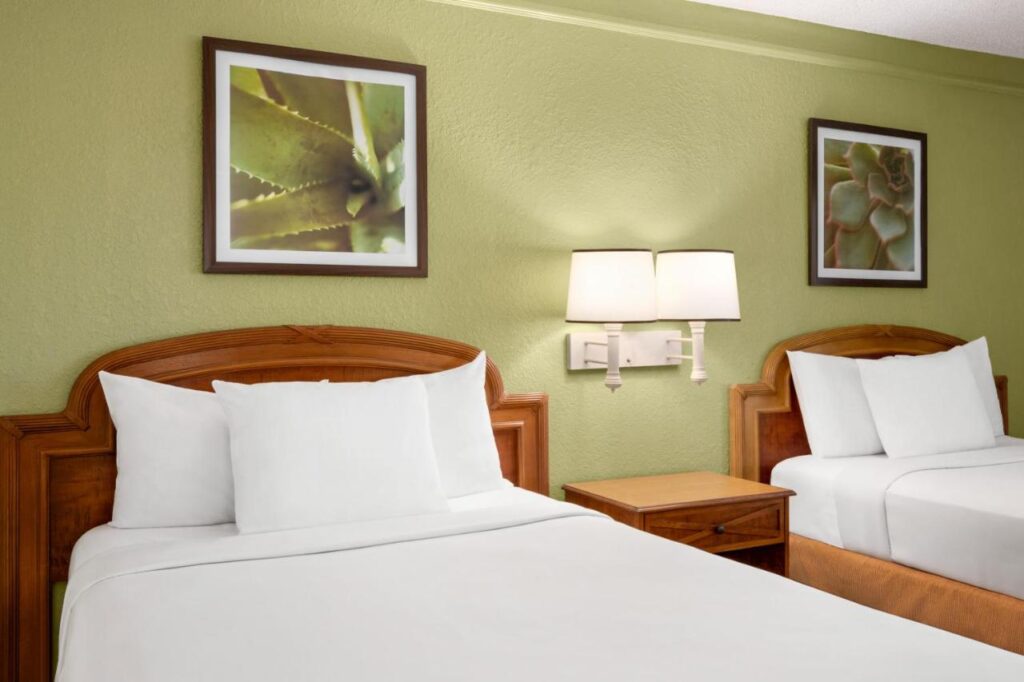 Baymont by Wyndham Intl Speedway I-95 Daytona Beach - Image 3