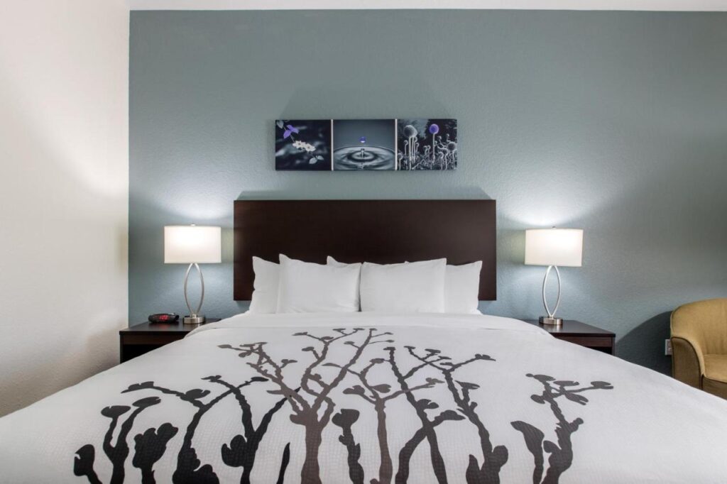 Sleep Inn and Suites - Ankeny - Image 6