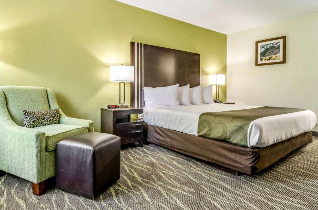 Quality Inn & Suites Creedmor - Butner - Image 4