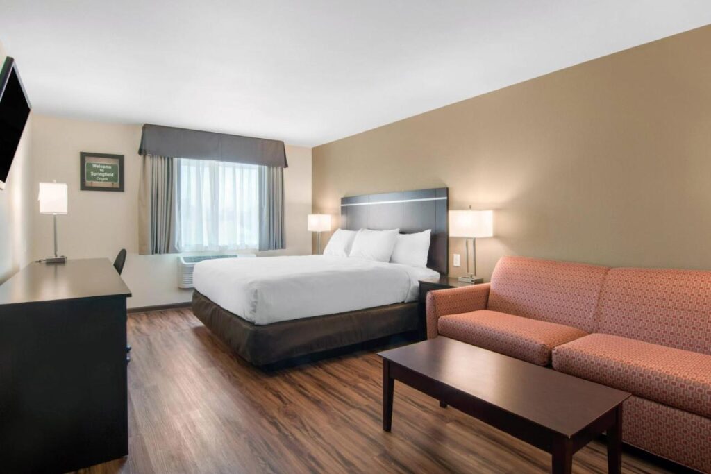 Econo Lodge Inn & Suites Springfield Main Street - Image 3