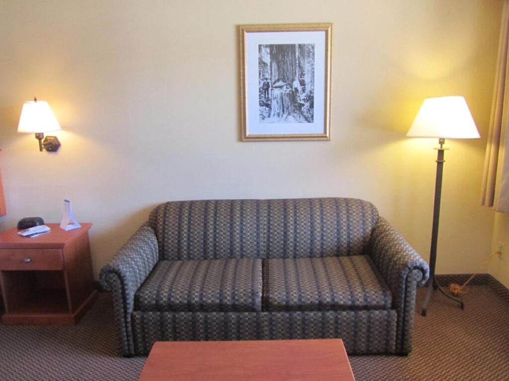 Oakridge Inn & Suites - Image 3