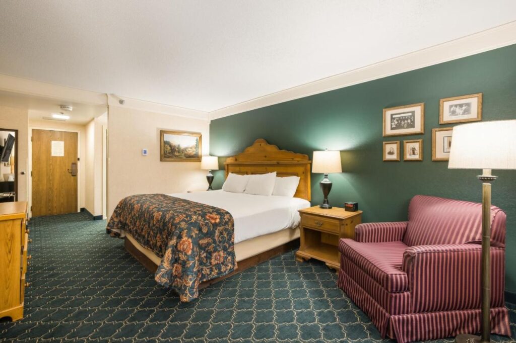 Bavarian Inn Lodge - Image 1