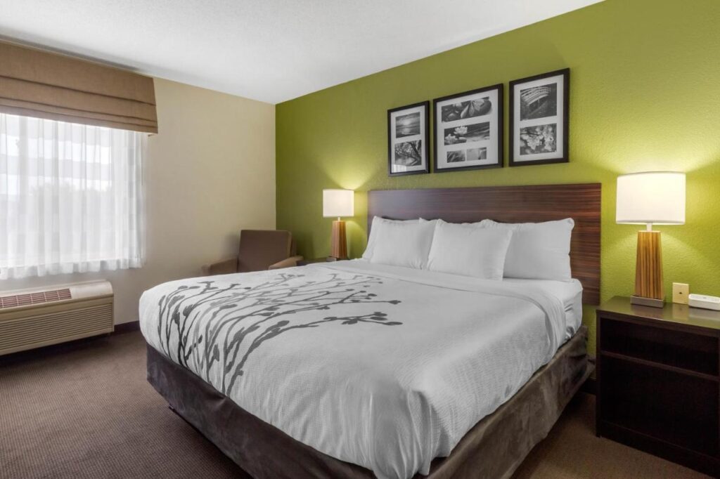 Sleep Inn & Suites Allendale - Image 3