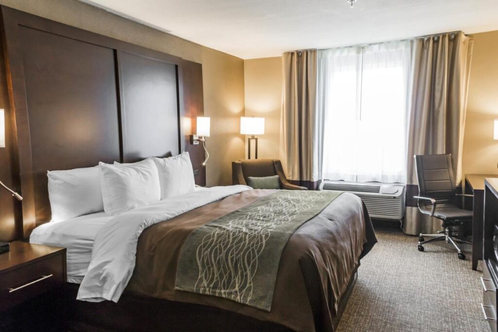 Comfort Inn & Suites Pharr - McAllen - Image 2