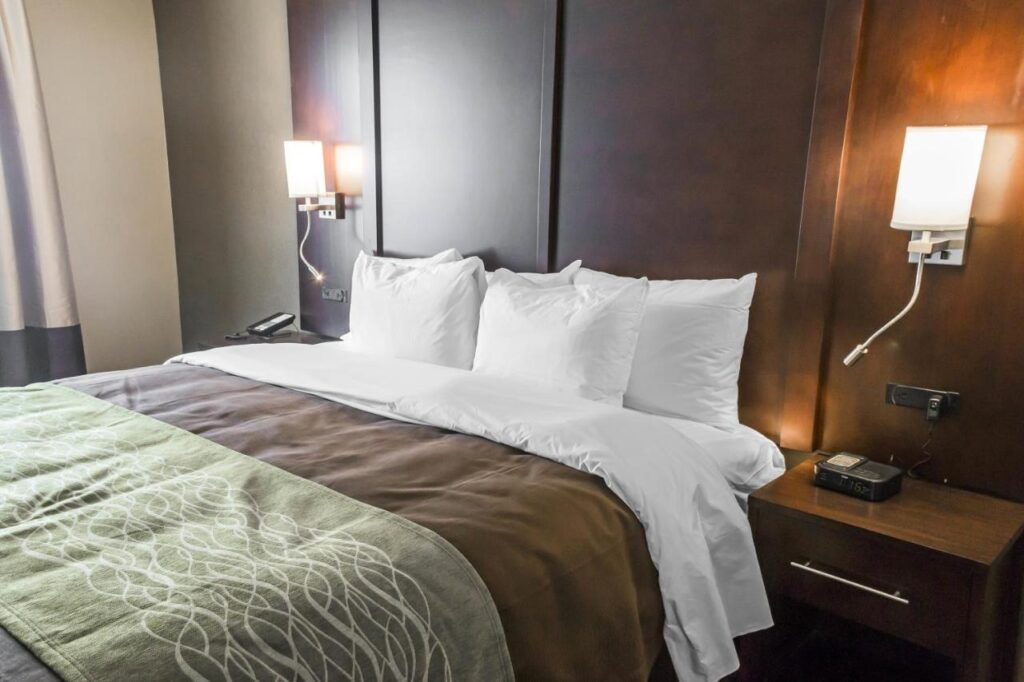 Comfort Inn & Suites Pharr - McAllen - Image 3