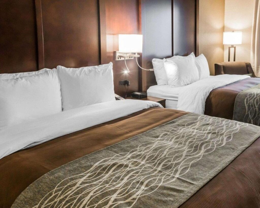 Comfort Inn & Suites Pharr - McAllen - Image 4