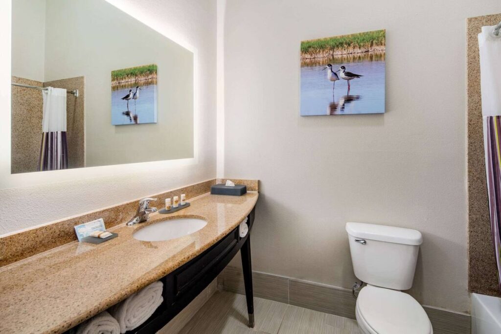La Quinta by Wyndham Alamo-McAllen East - Image 3