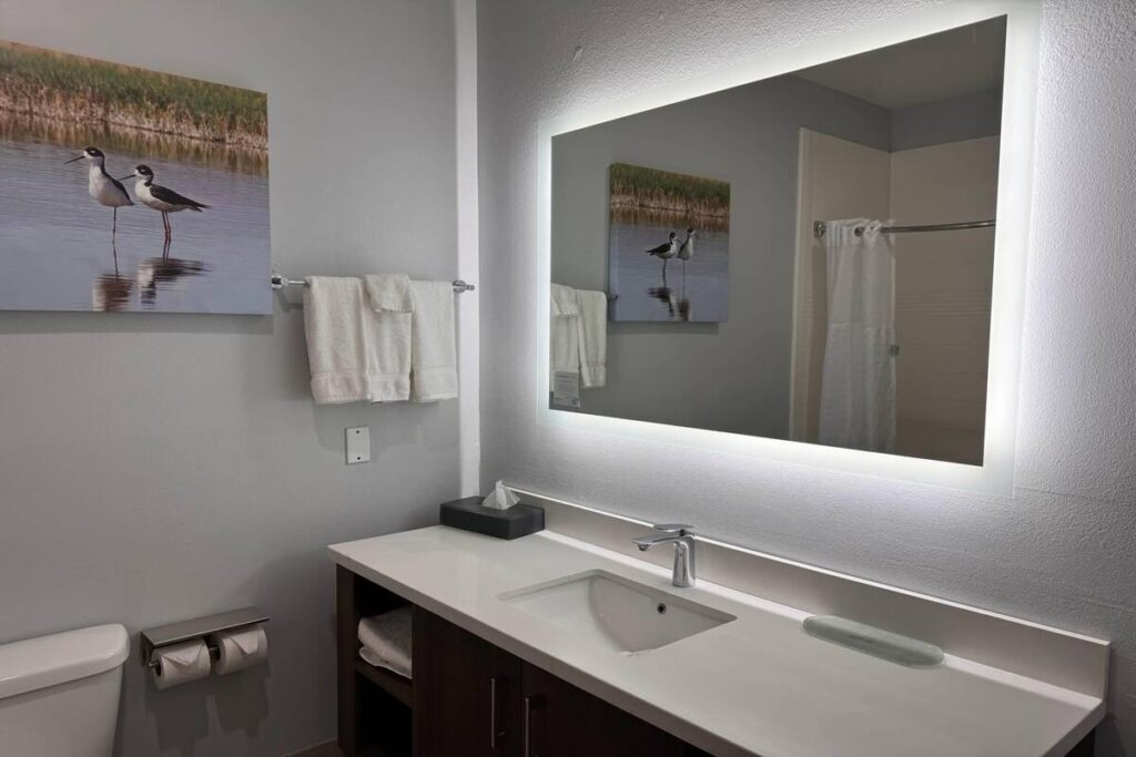 La Quinta by Wyndham Alamo-McAllen East - Image 4
