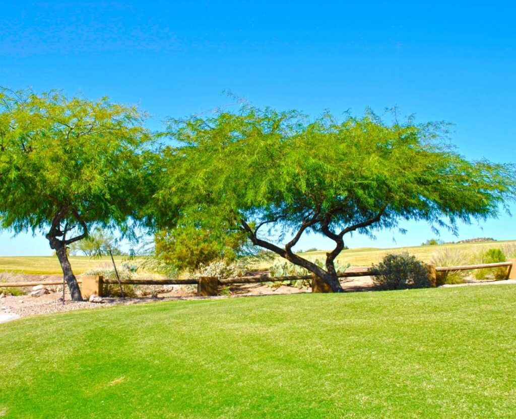 Gold Canyon Golf Resort - Image 4