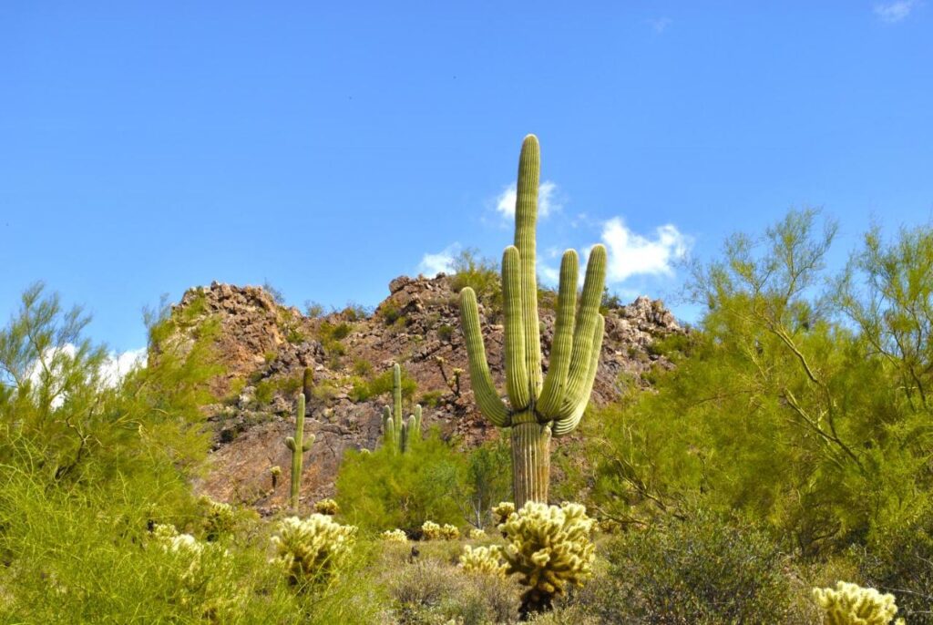 Gold Canyon Golf Resort - Image 5