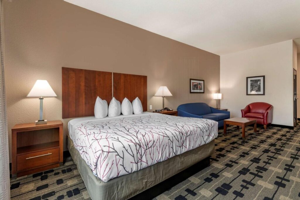 Best Western Plus Big Lake Inn - Image 3