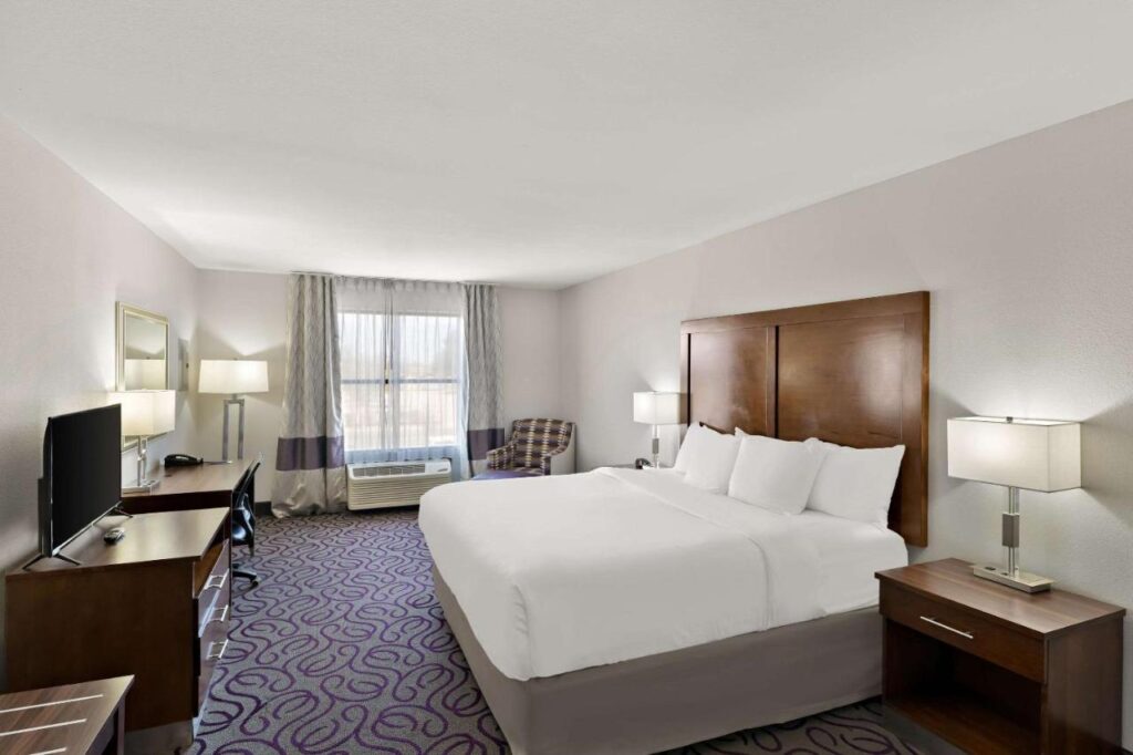 Comfort Inn & Suites Lovington - Image 2