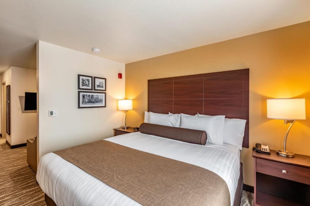 Cobblestone Hotel & Suites Hartford - Image 2