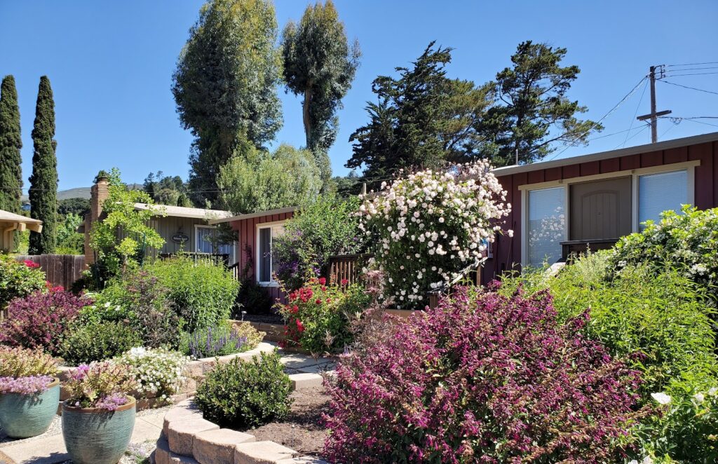 Carmel Valley Lodge - Image 5