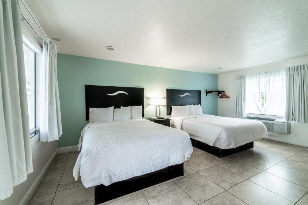 Everglades City Motel - Everglades Adventures Inn - Image 2