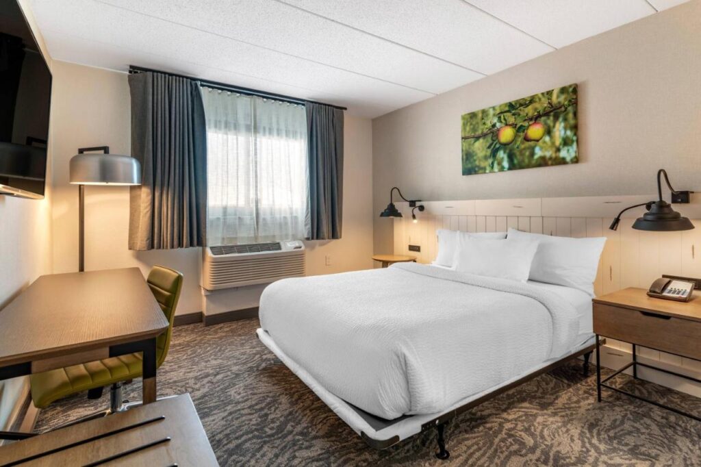 Fairfield Inn & Suites by Marriott Providence Airport Warwick - Image 6