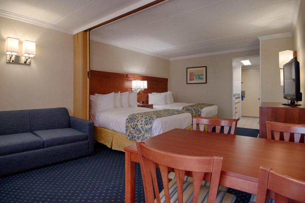 The Spinnaker - Image 3