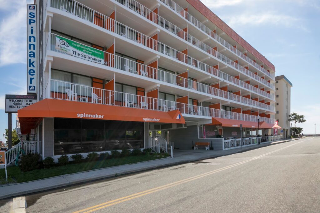The Spinnaker - Image 6