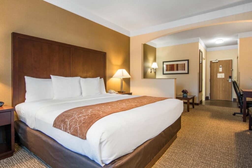 Comfort Suites Linn County Fairground and Expo - Image 2