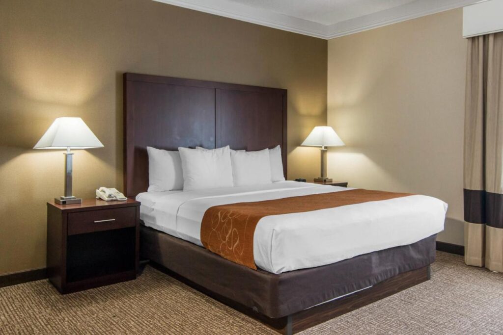 Comfort Suites Linn County Fairground and Expo - Image 3