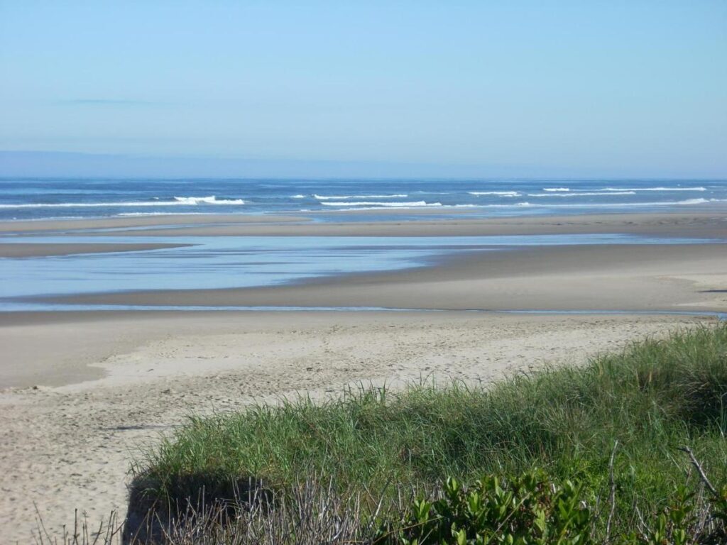 Silver Surf Motel - Image 1
