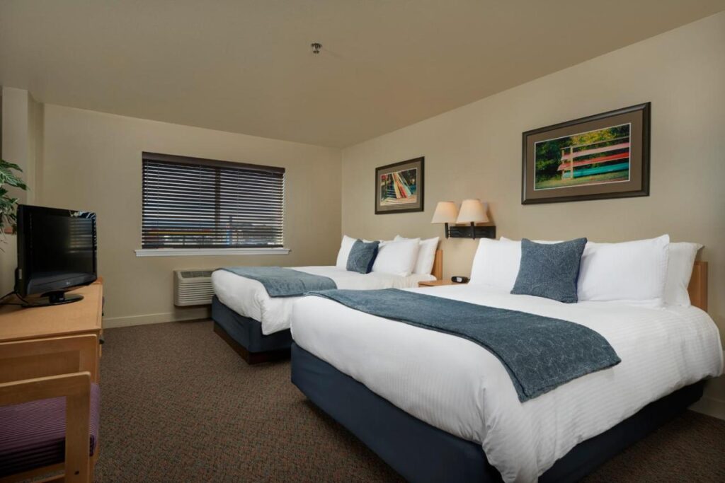 The Hotel Garibaldi - Image 3