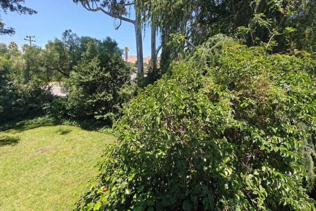 Kaleidoscope Inn & Gardens - Image 6