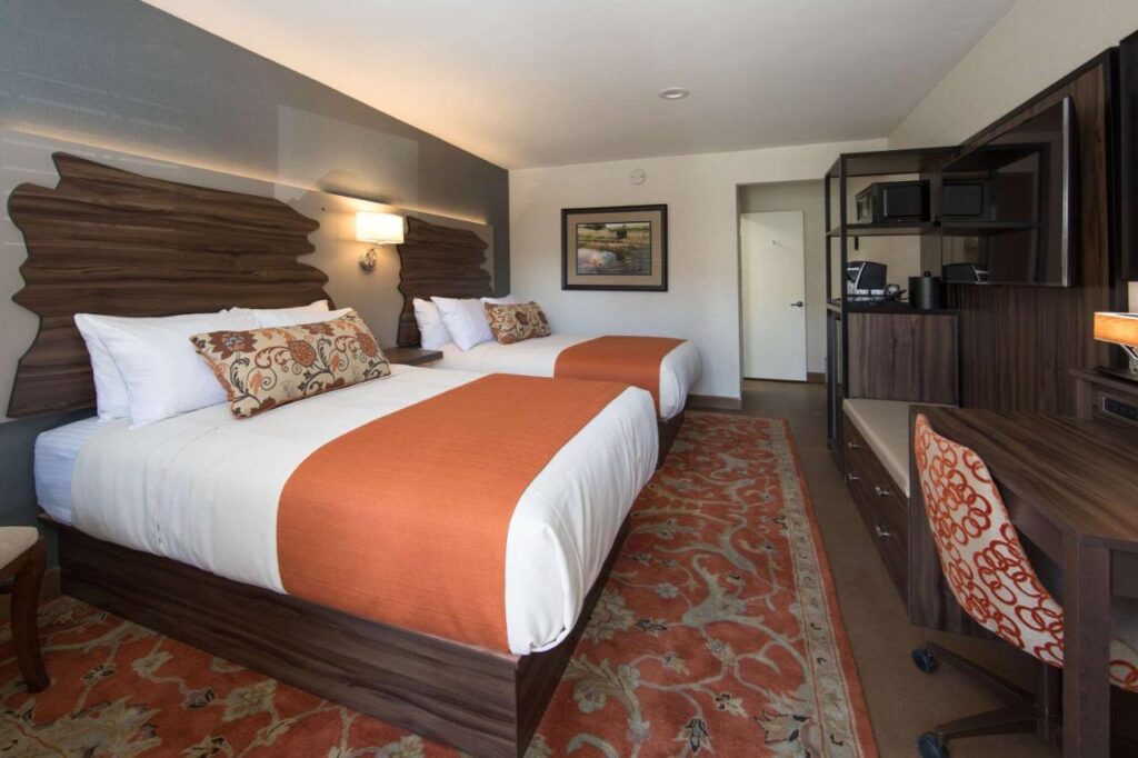 The Vine Inn Davis - Image 2