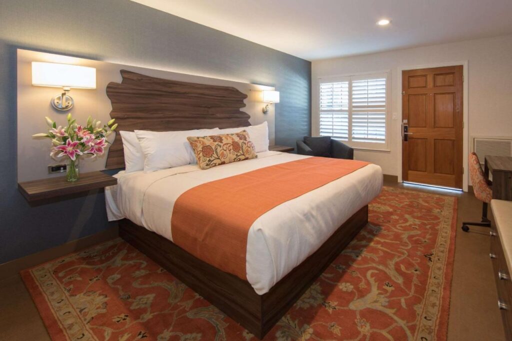 The Vine Inn Davis - Image 4