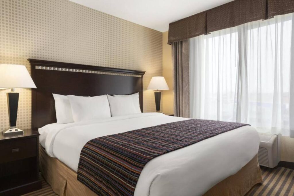 University Hotel Davis Area by IHG - Image 6