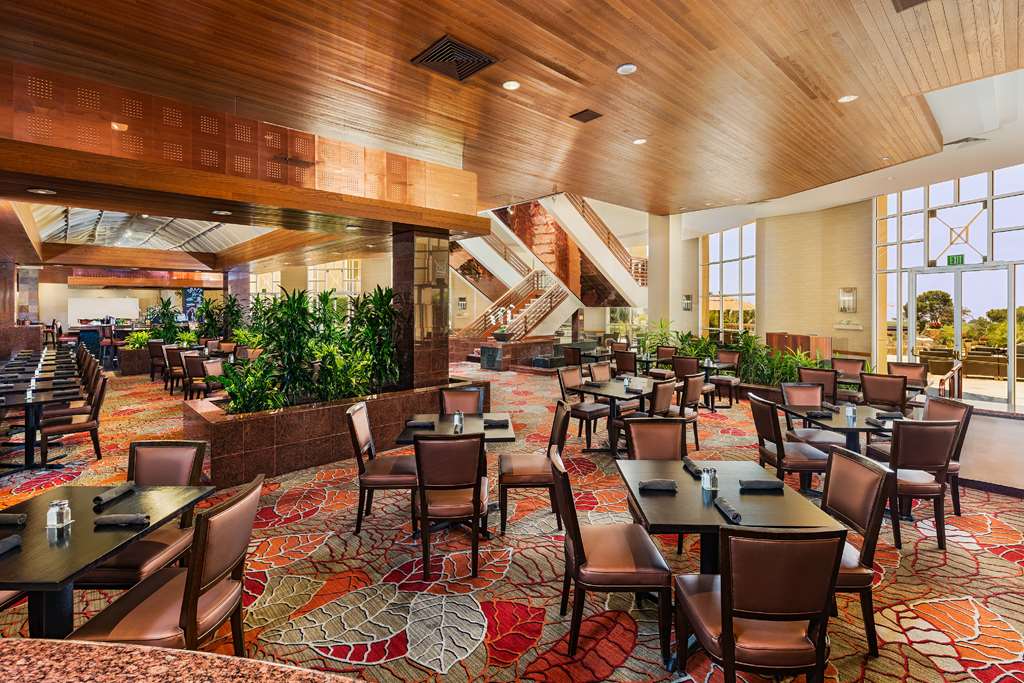 Hilton La Jolla Torrey Pines - Image 6