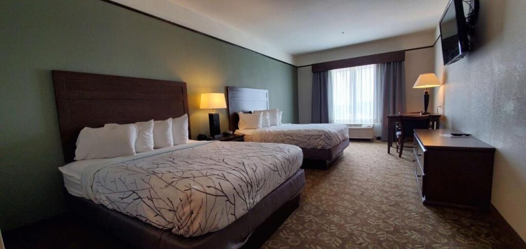 Best Western Plus Emory at Lake Fork Inn & Suites - Image 2